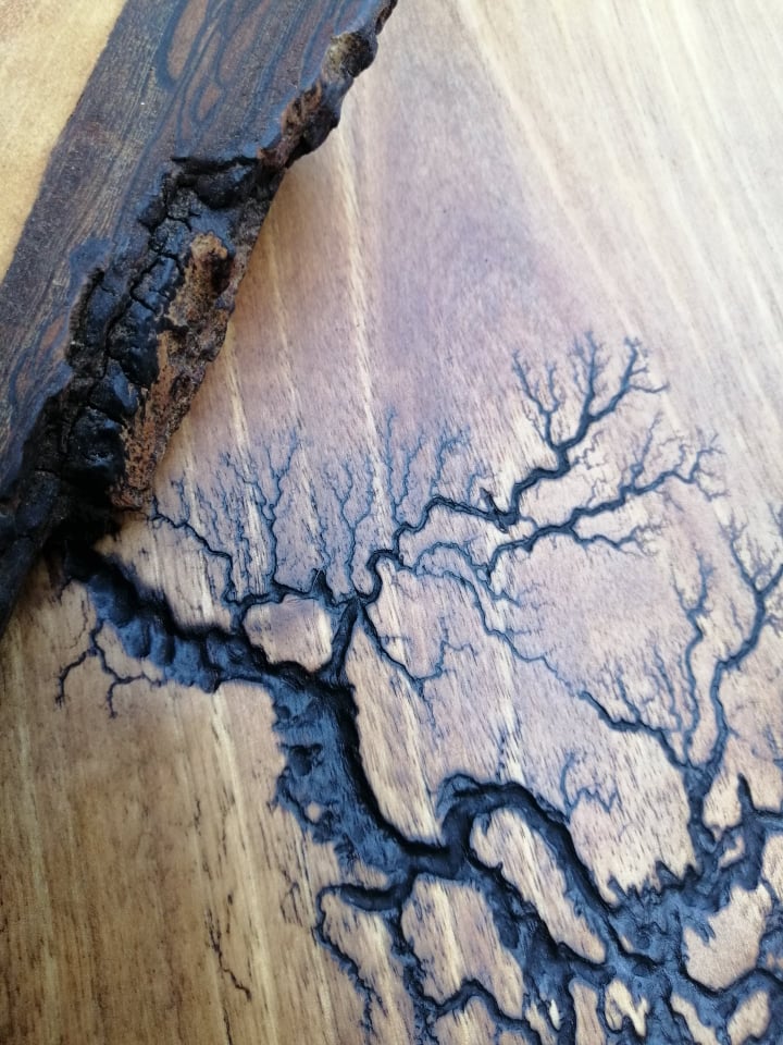Wood burning-strela v lesu - slika 3